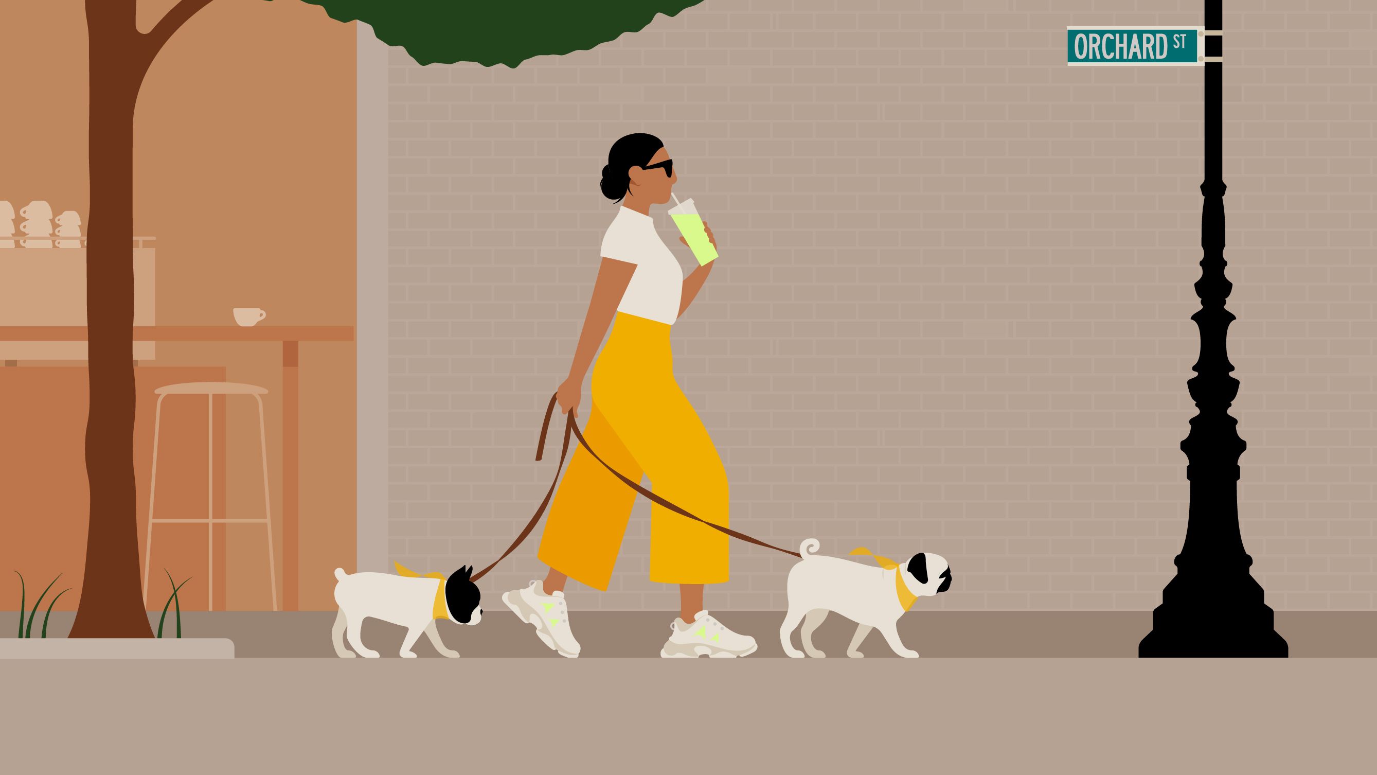 The Orchard Neighborhood Image