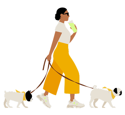 The Orchard Introduction Image