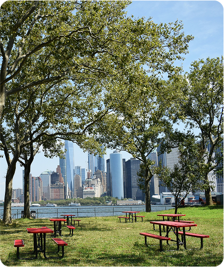 The Orchard Trader Joe's